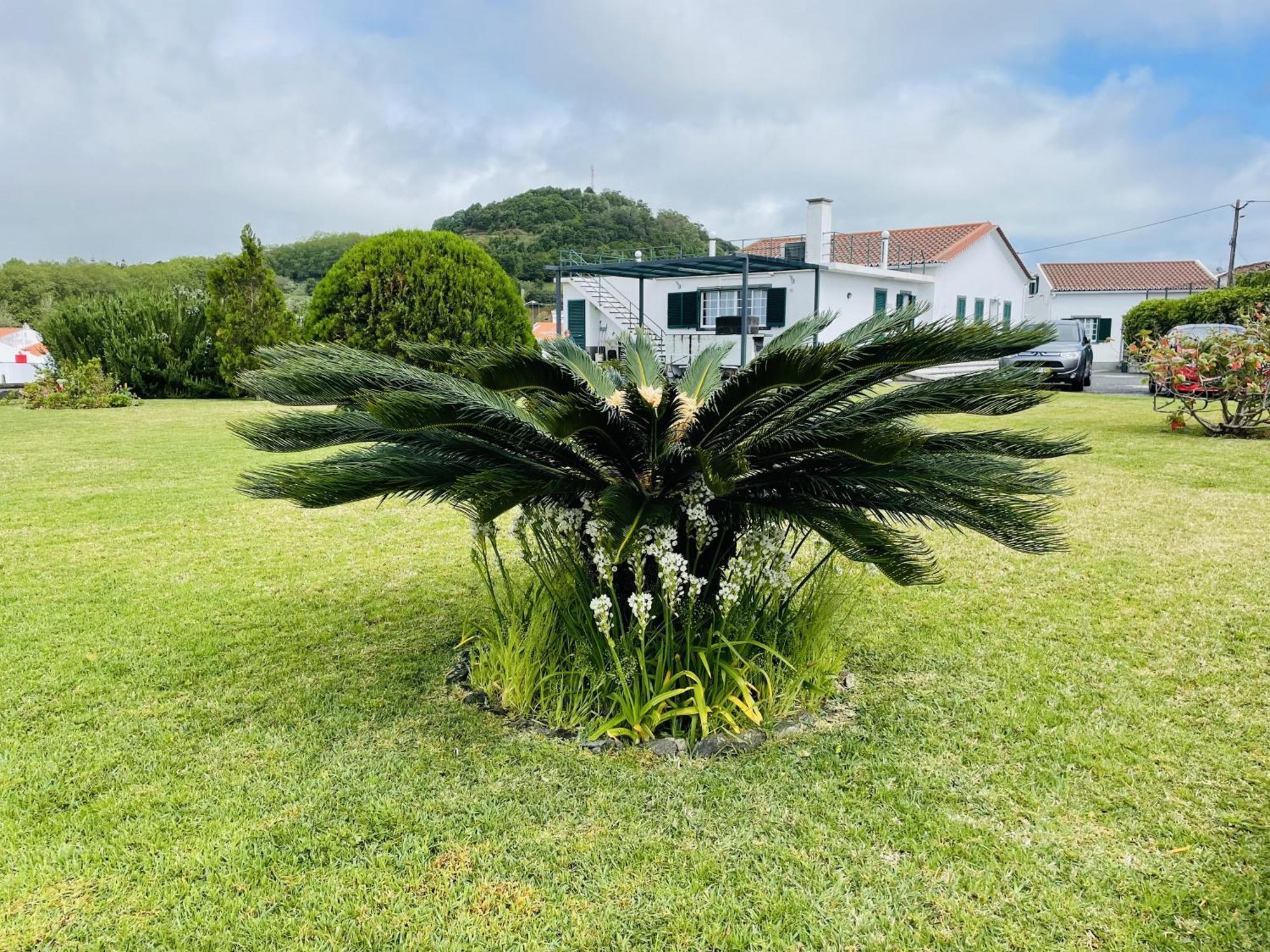 Villa Casa Da Faja à Ponta Delgada Extérieur photo